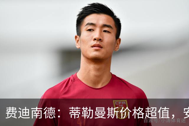 费迪南德：蒂勒曼斯价格超值，安德雷-桑托斯正在证明自己
